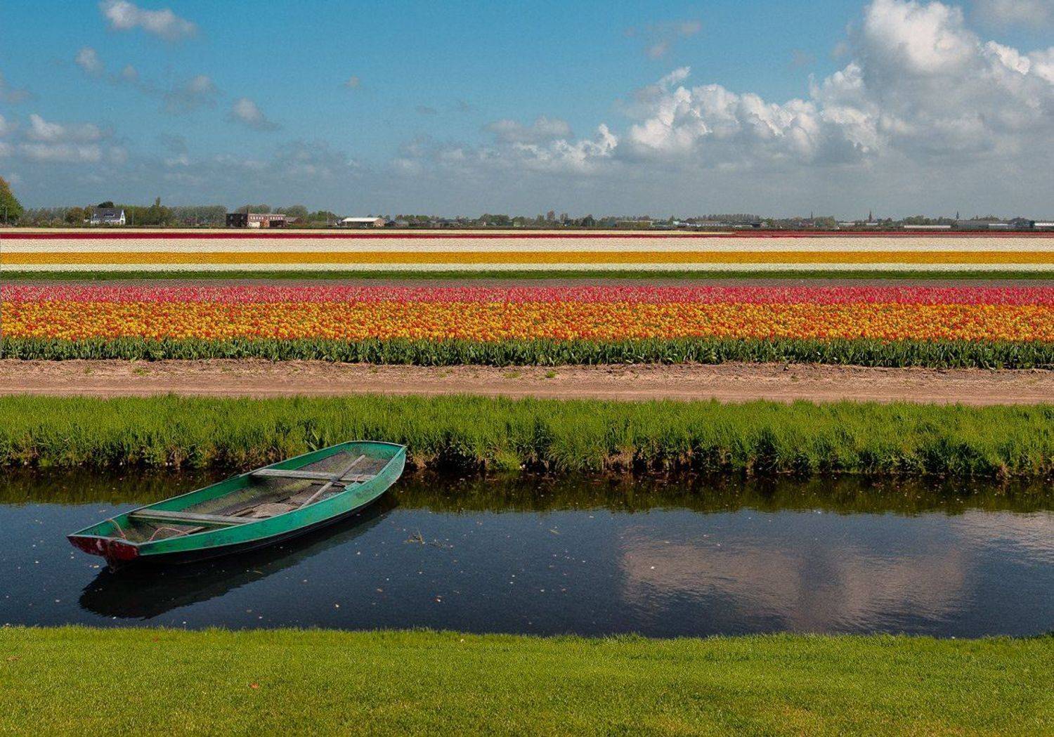 , Гелена Гленкова