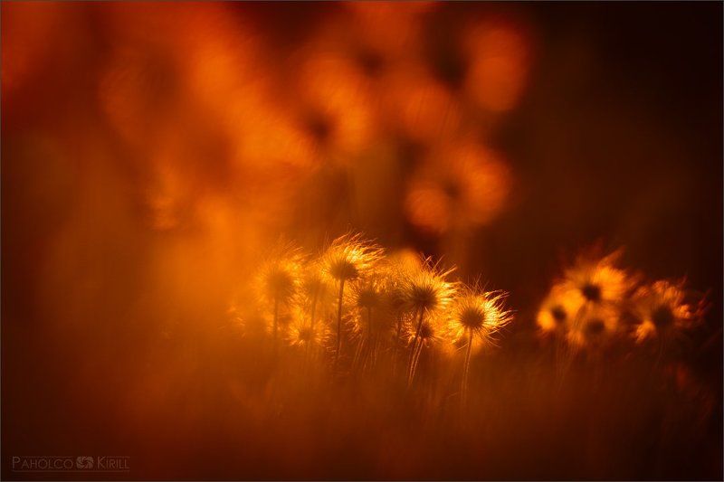 Только воспоминания фото превью