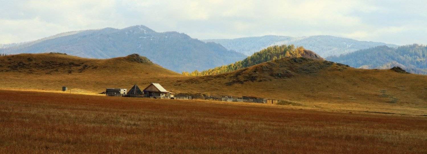 , Галина Хвостенко