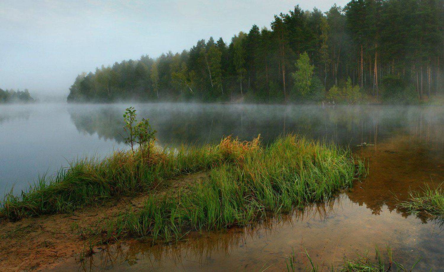 , Дмитрий Алексеев