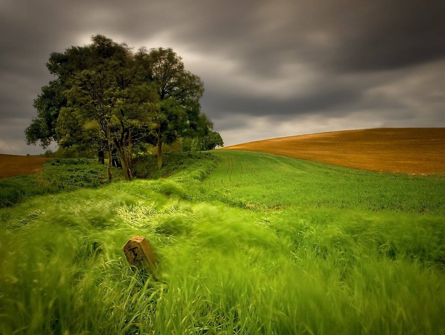 , Miroslaw Grobelski