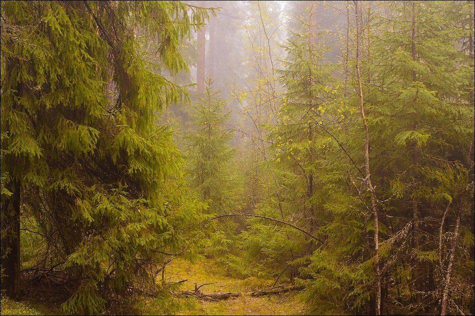 , Бурлов Андрей