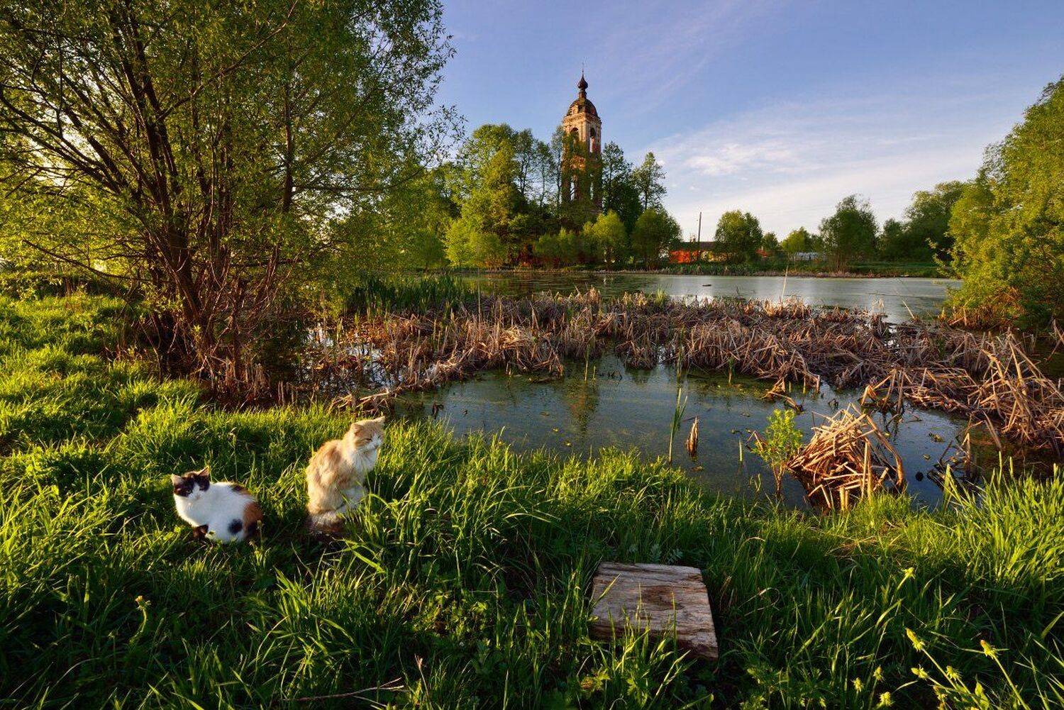 горе-грязь, Максим Евдокимов