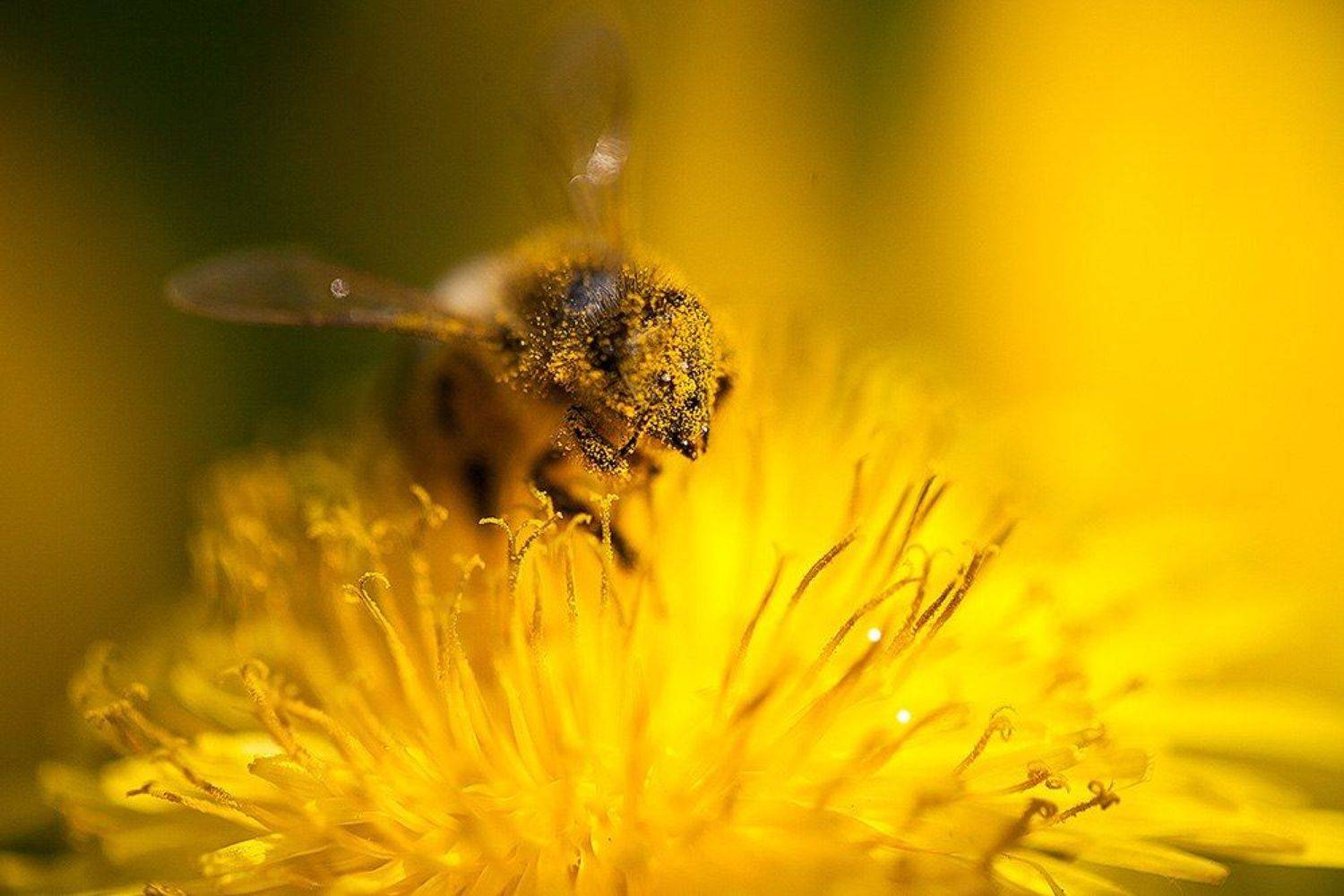 , Михаил Иванов