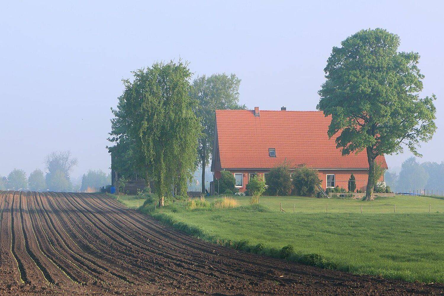 , Игорь Дубровский