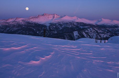 PRO заструги #2
