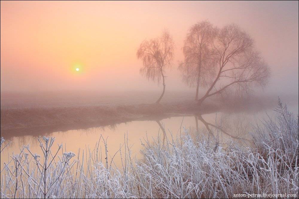 , Антон Петрусь