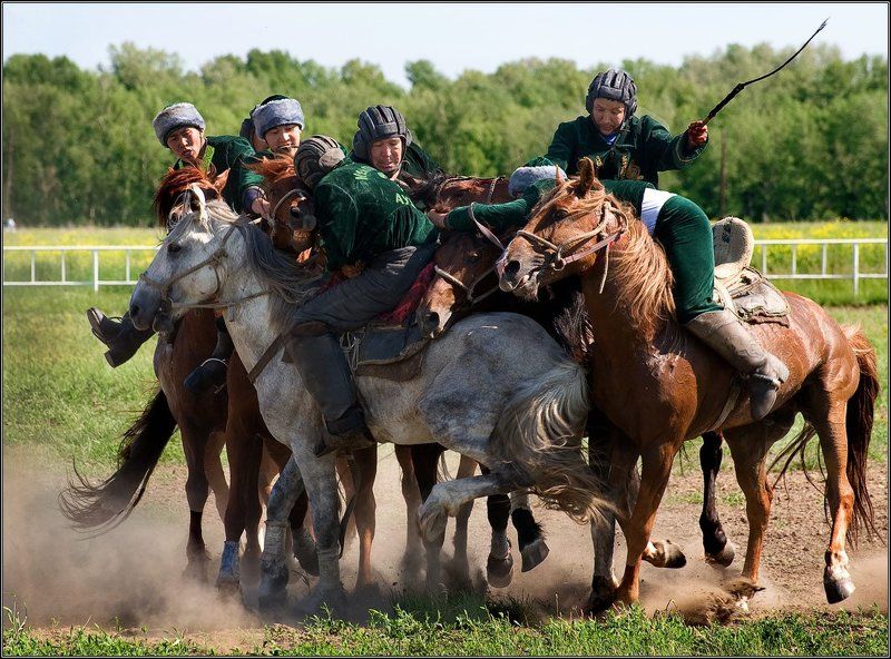 Кокпар фото превью