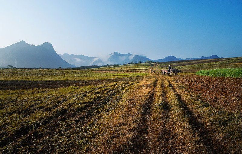 Moc Chau Plateau фото превью