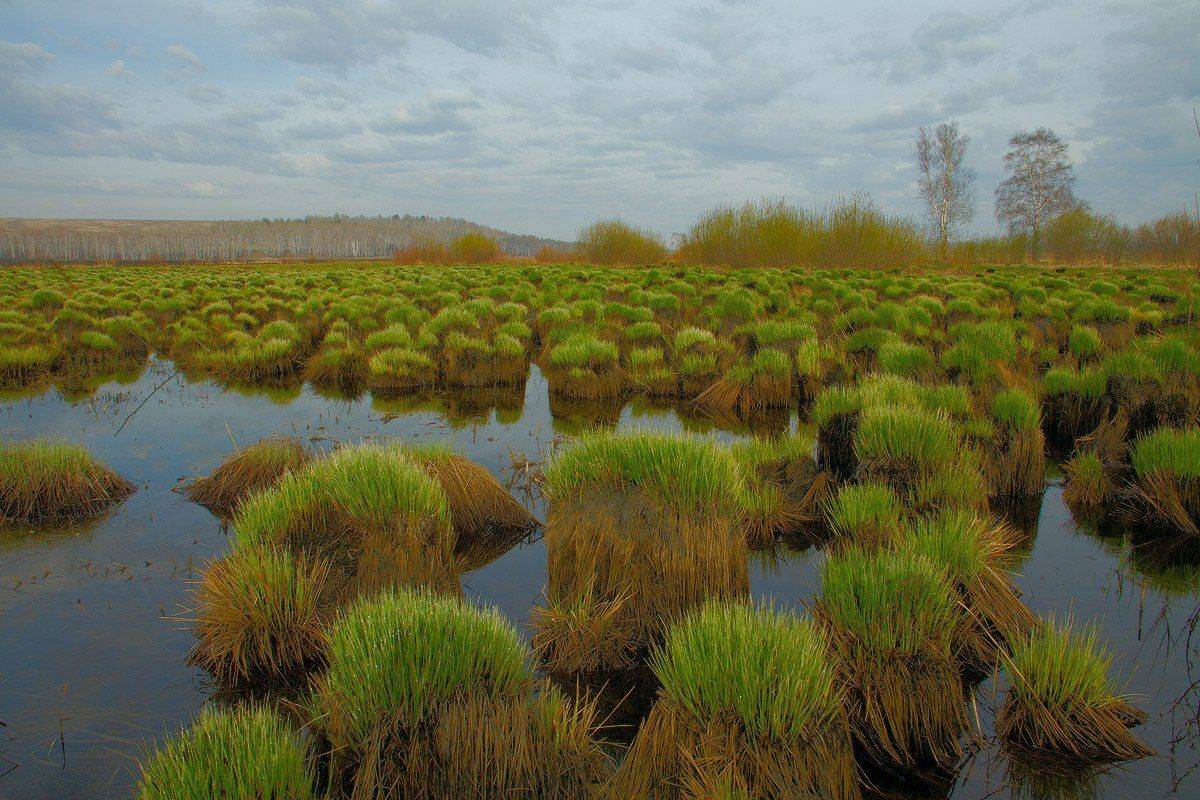 , Николай Морский