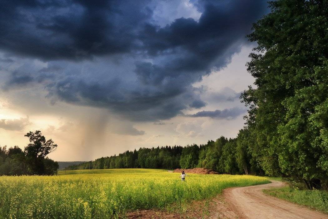 , Вейзе Максим