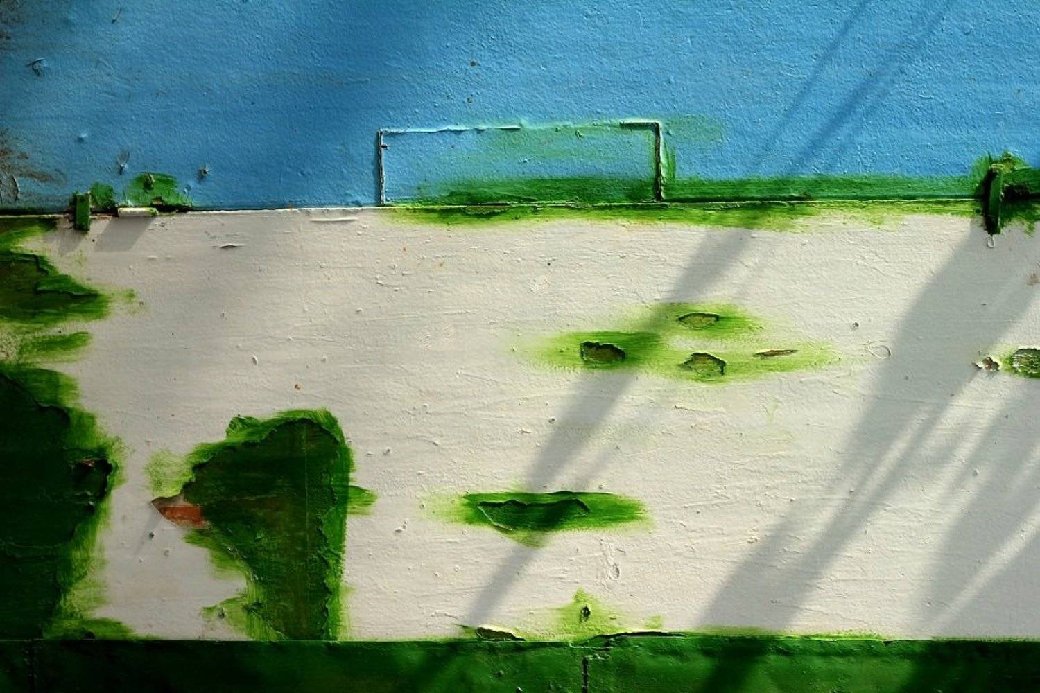 абстракция, Сюзанна Шевченко