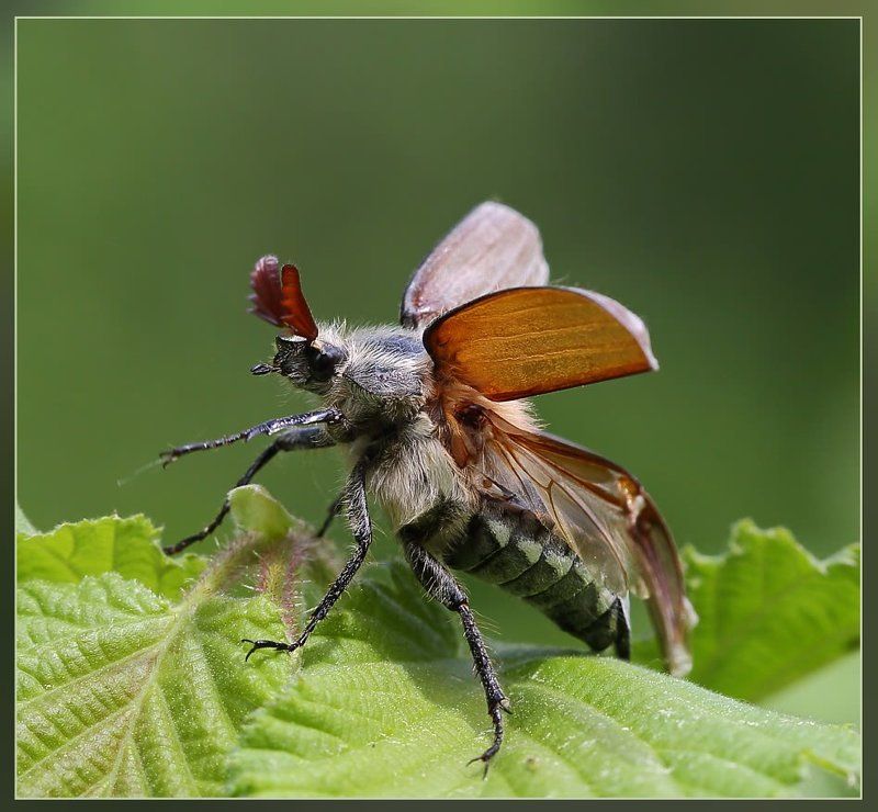 К полёту готов!.. фото превью