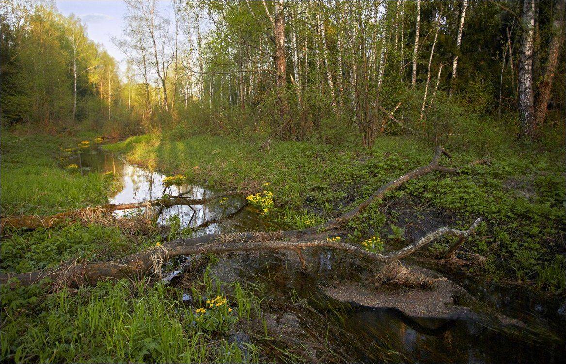 , Вадим Никифоров