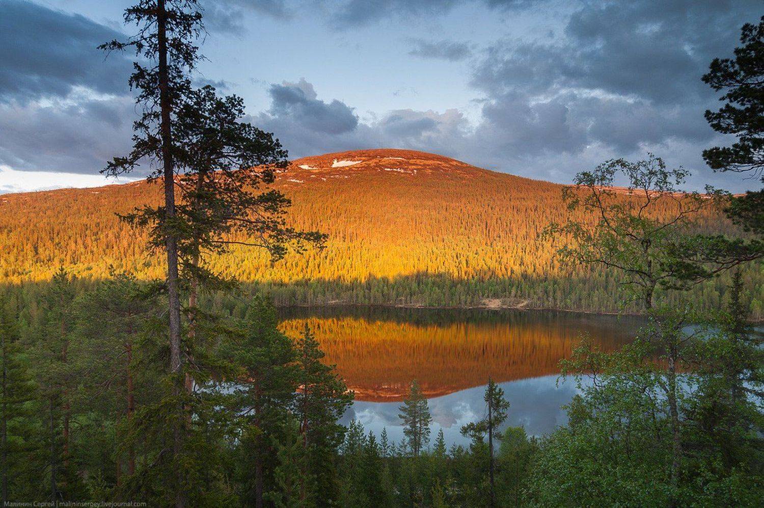 кольский, озеро, полярный день, ночь, закат, сосны, заполярье, Сергей Малинин