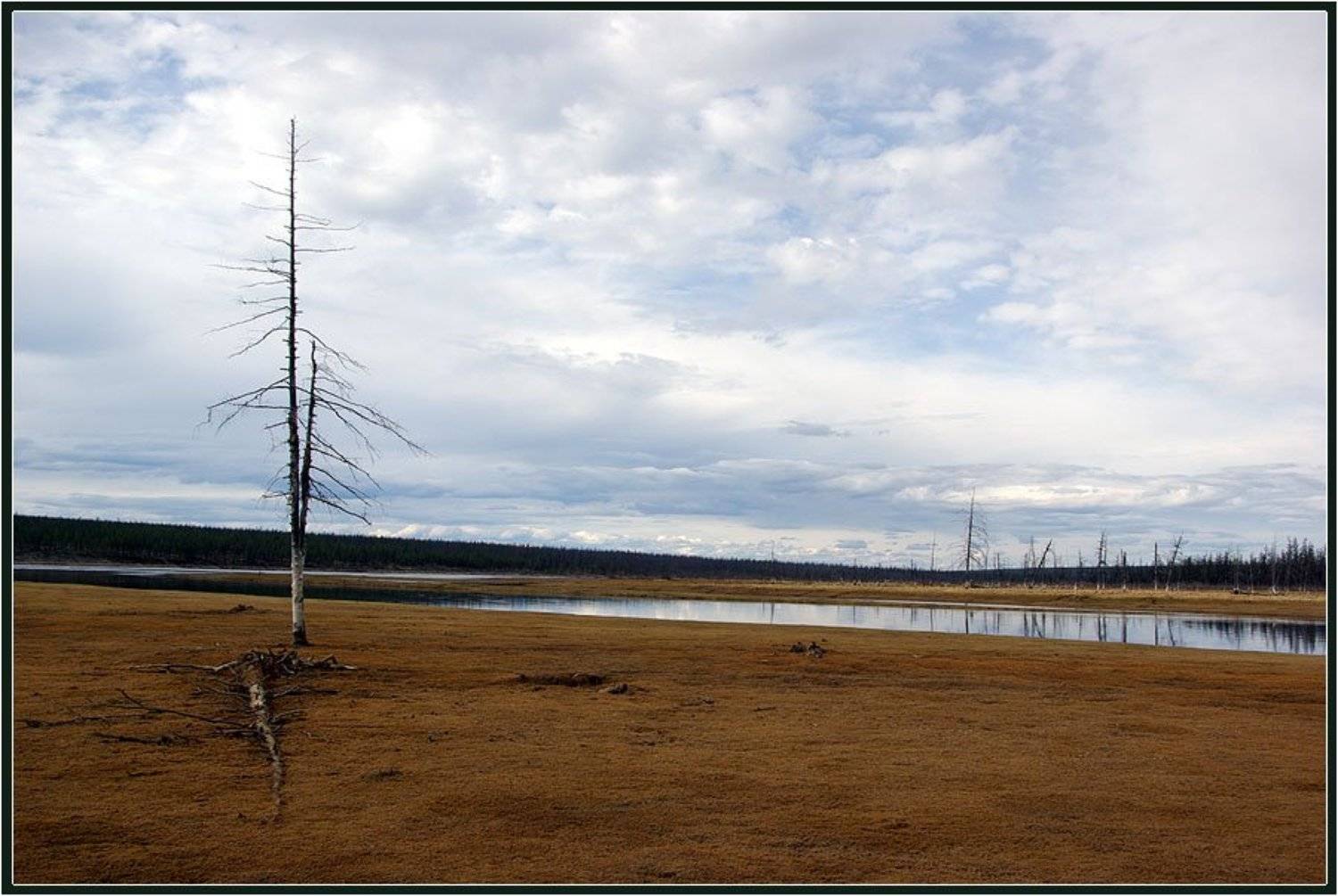 , Солодухин Виктор