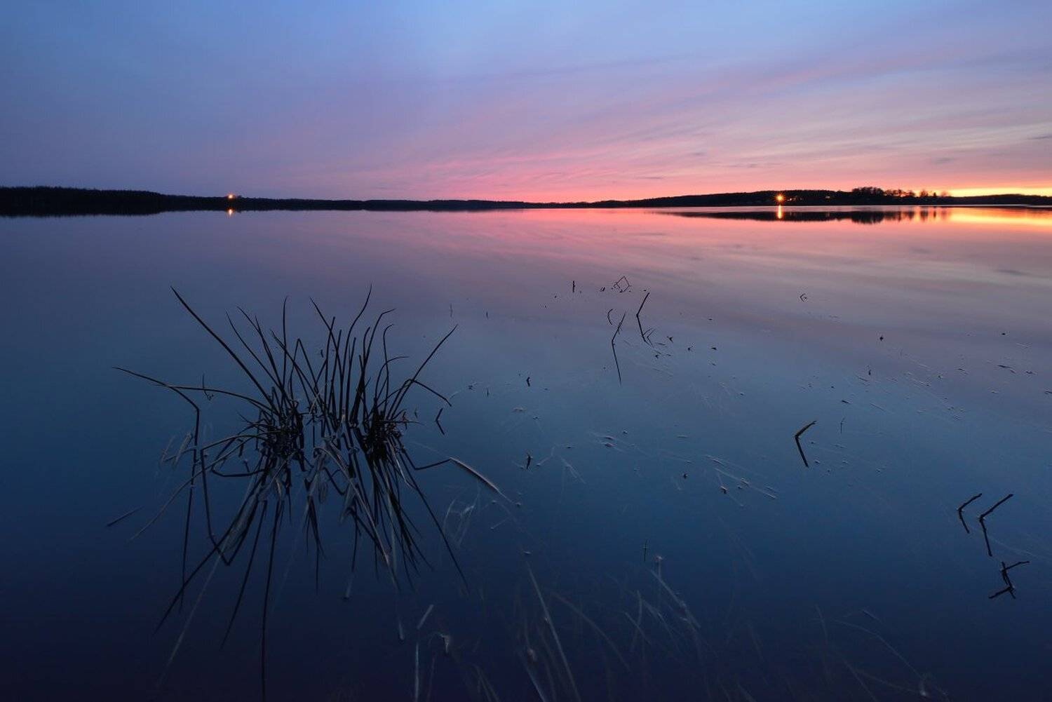 , Максим Евдокимов