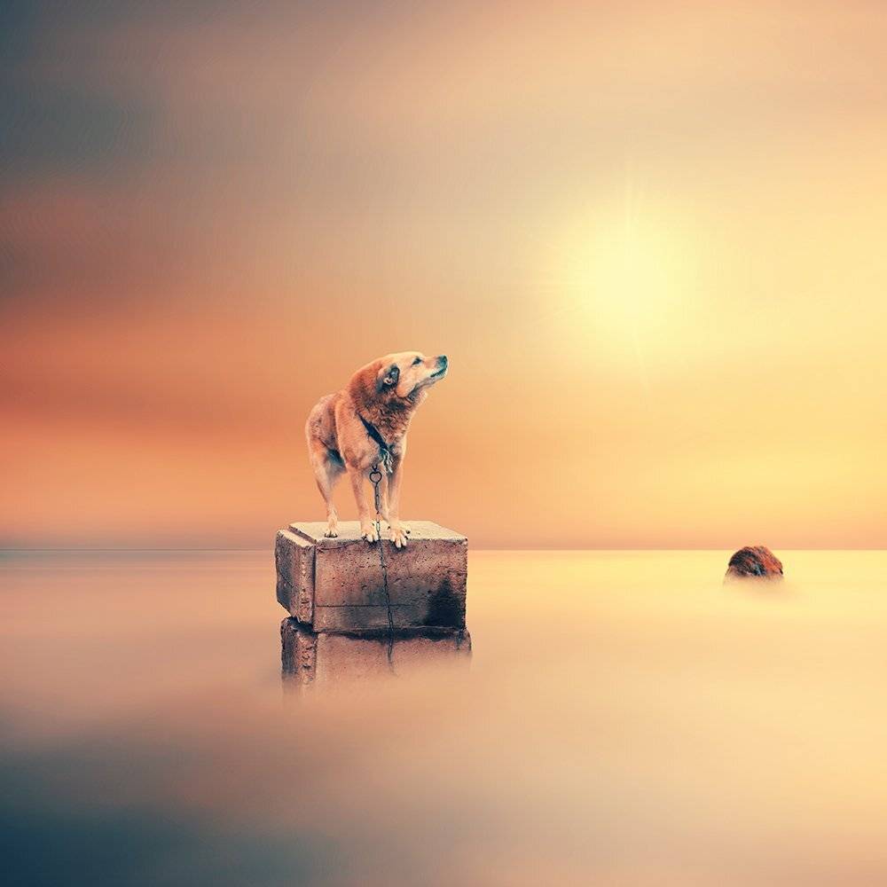 bubble, clouds, design, stone, floating, rock, light, manipulation, photoshop, cube, psd, shadow, smoke, tutorials, water, wind, chain, wood, colorful, calm, light, Caras Ionut