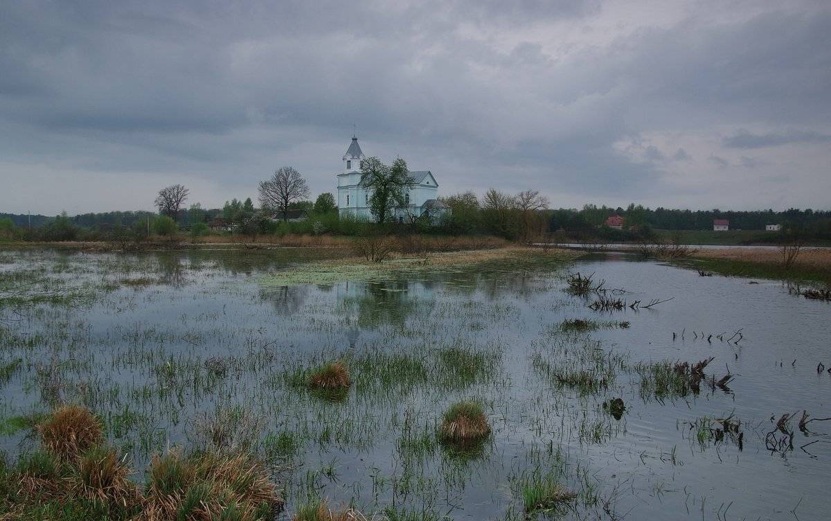 , Николай Шахманцир