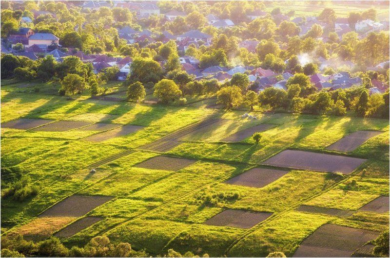 Свалявщина... фото превью