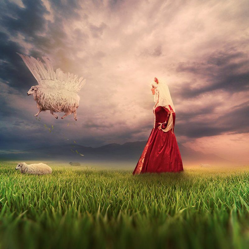 beautiful, sheep, fly, wings, grass, green, mounting, hill, sky, spreading, woman, red, fashion, cliff, dear, forest, fountain, hill, inside, ioana, land, landscape, leaf, letter, ligh, light, manipulation, mounting, mystical, paper, poem, psd, rock, sun, Getting lost II фото превью