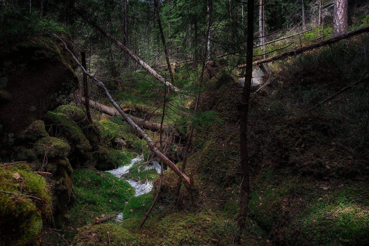 , Владлен Халимов