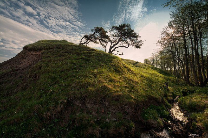 на зло ветрам...Юркалне фото превью
