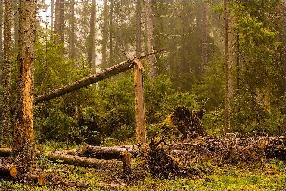 , Бурлов Андрей