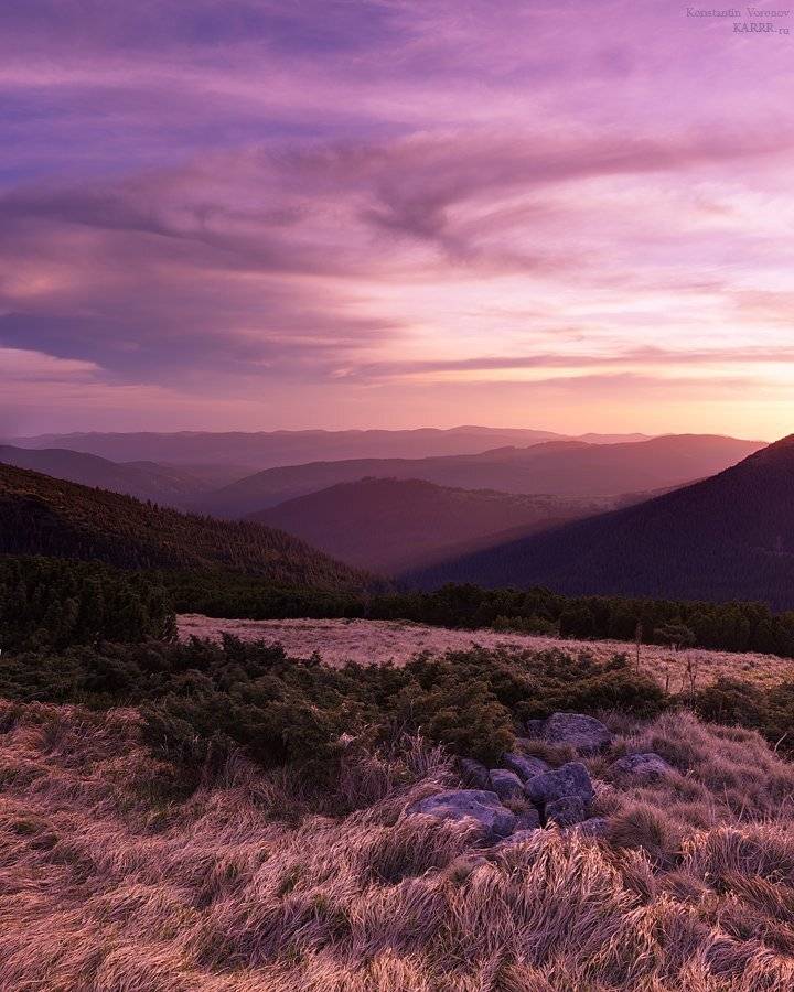 , Konstantin Voronov