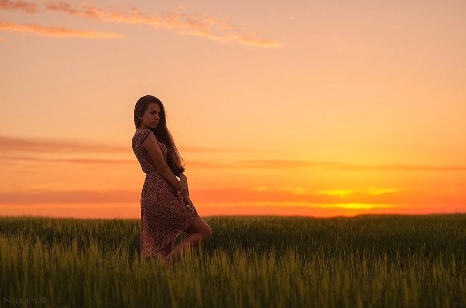 , Павел Нагорный