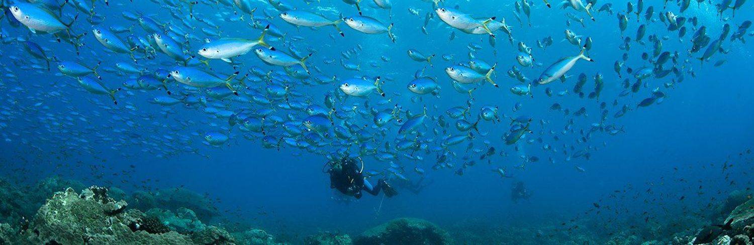 underwater, Виктор Чистов