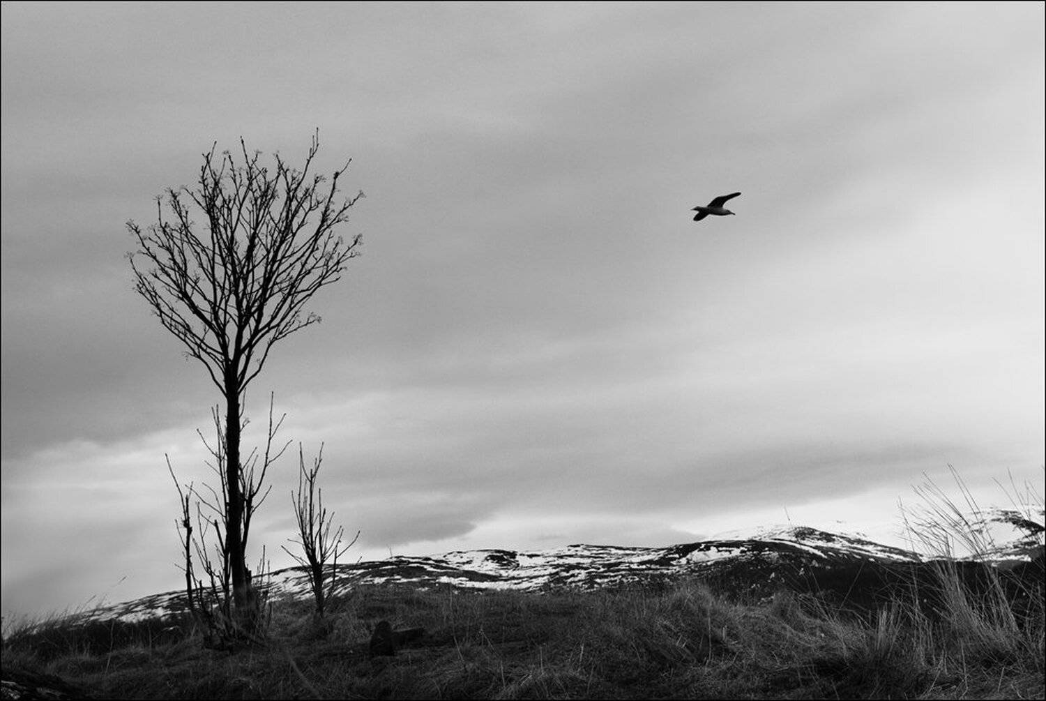 , Крицак Ольга