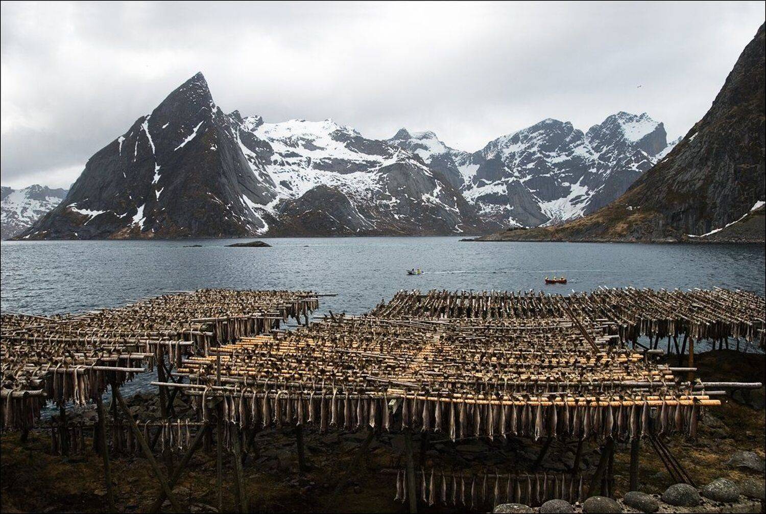 , Крицак Ольга