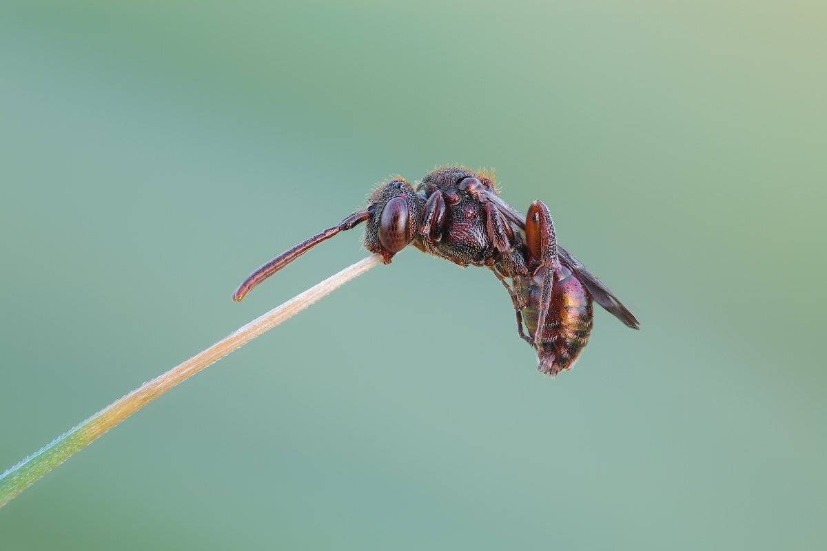 , Вадим Ходаковский