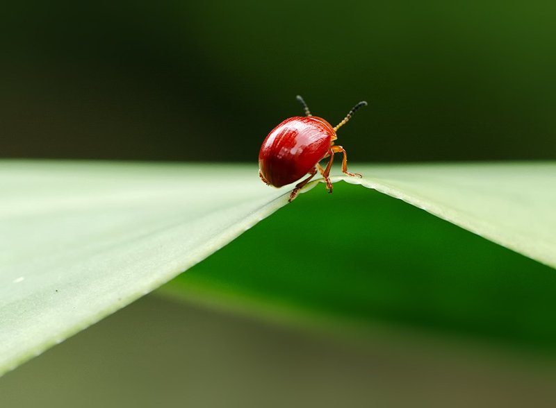 В горку - с горки... фото превью