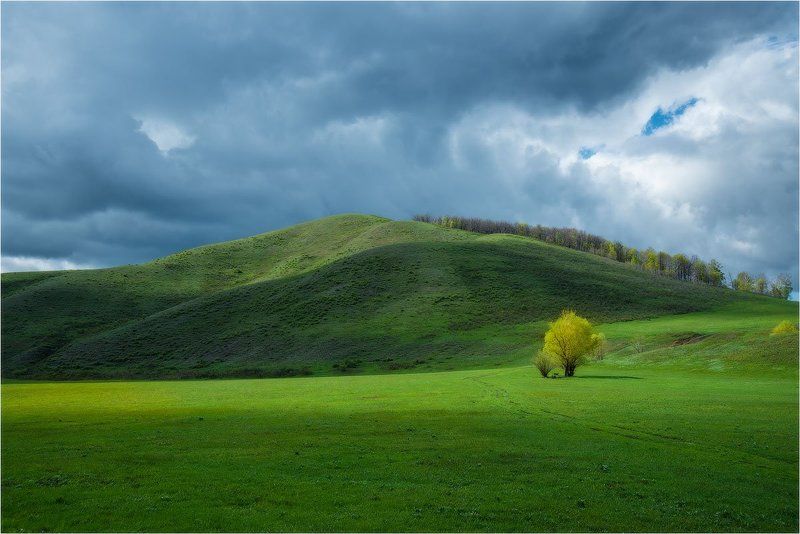 Оренбуржье весной фото превью