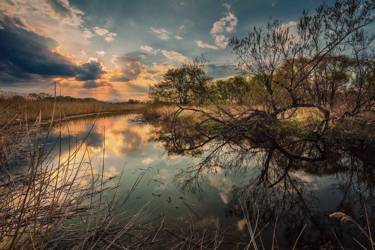 вечер, весна, май, Андрей Кровлин
