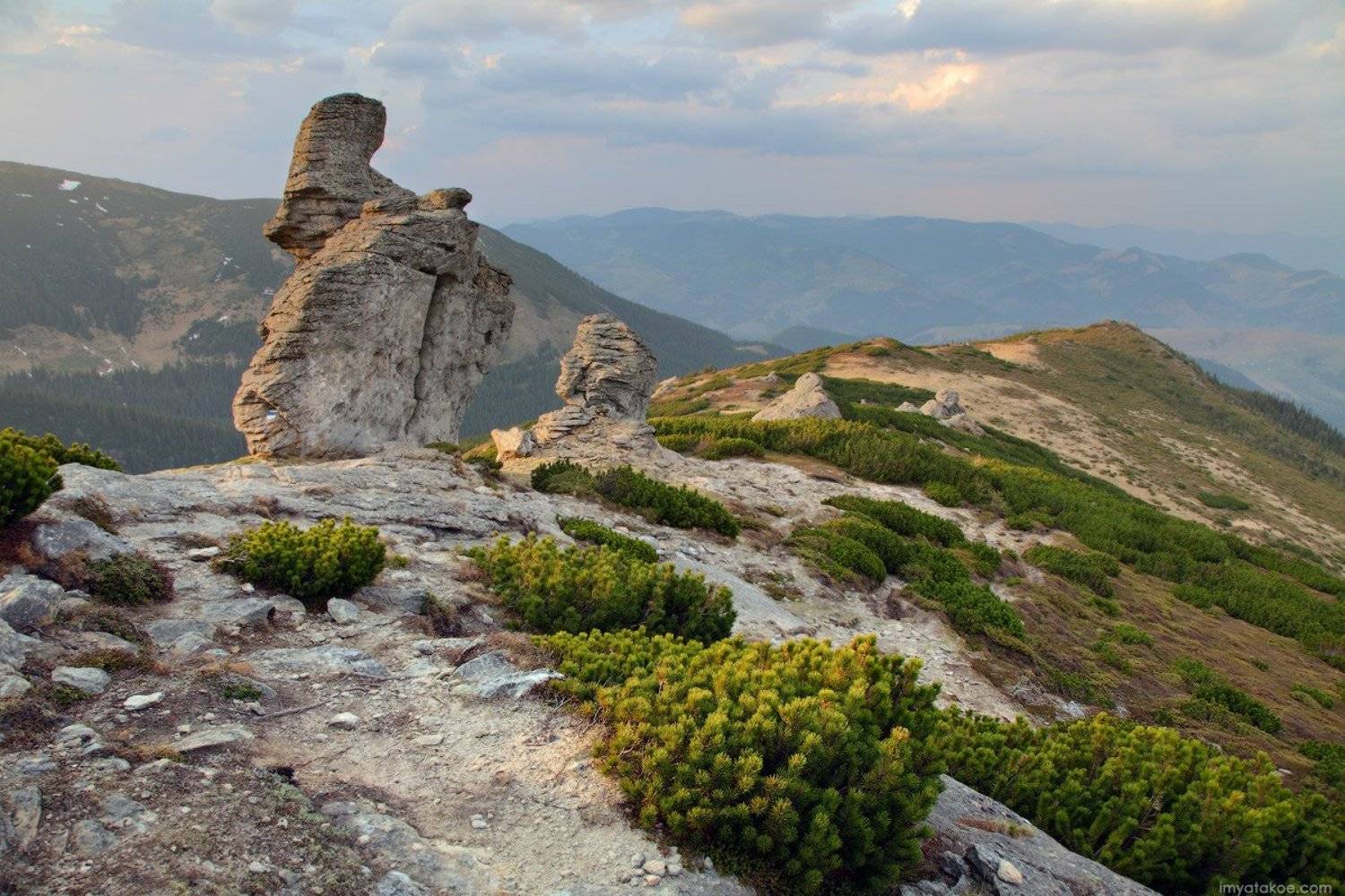 , Михаил Псарёв