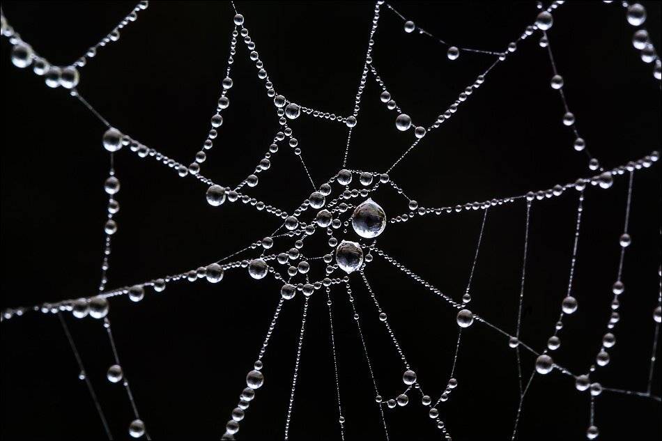 , Бурлов Андрей