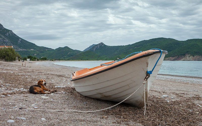 Черногория, Булярица фото превью