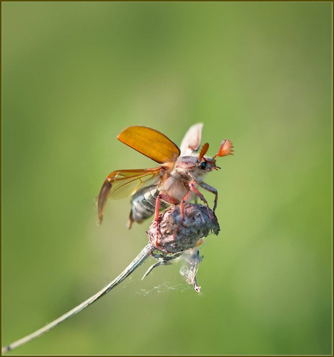 , Евгений Кирилкин.