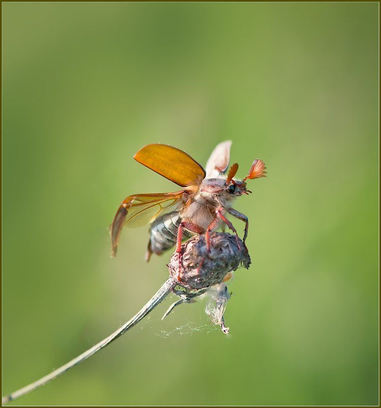 Ключ на старт! фото превью