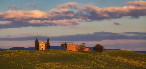 Закатная, в медовом свете, и с оленем, спрятавшимся за дерево
