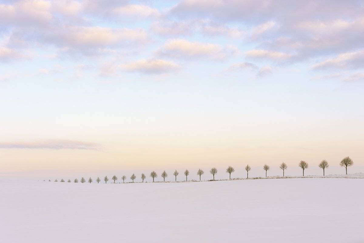 Деревья, Зима, Небо, Поле, wojtek6308