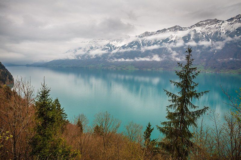 Brienzersee фото превью