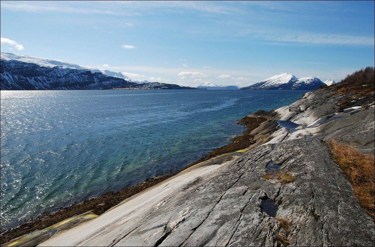 , Крицак Ольга