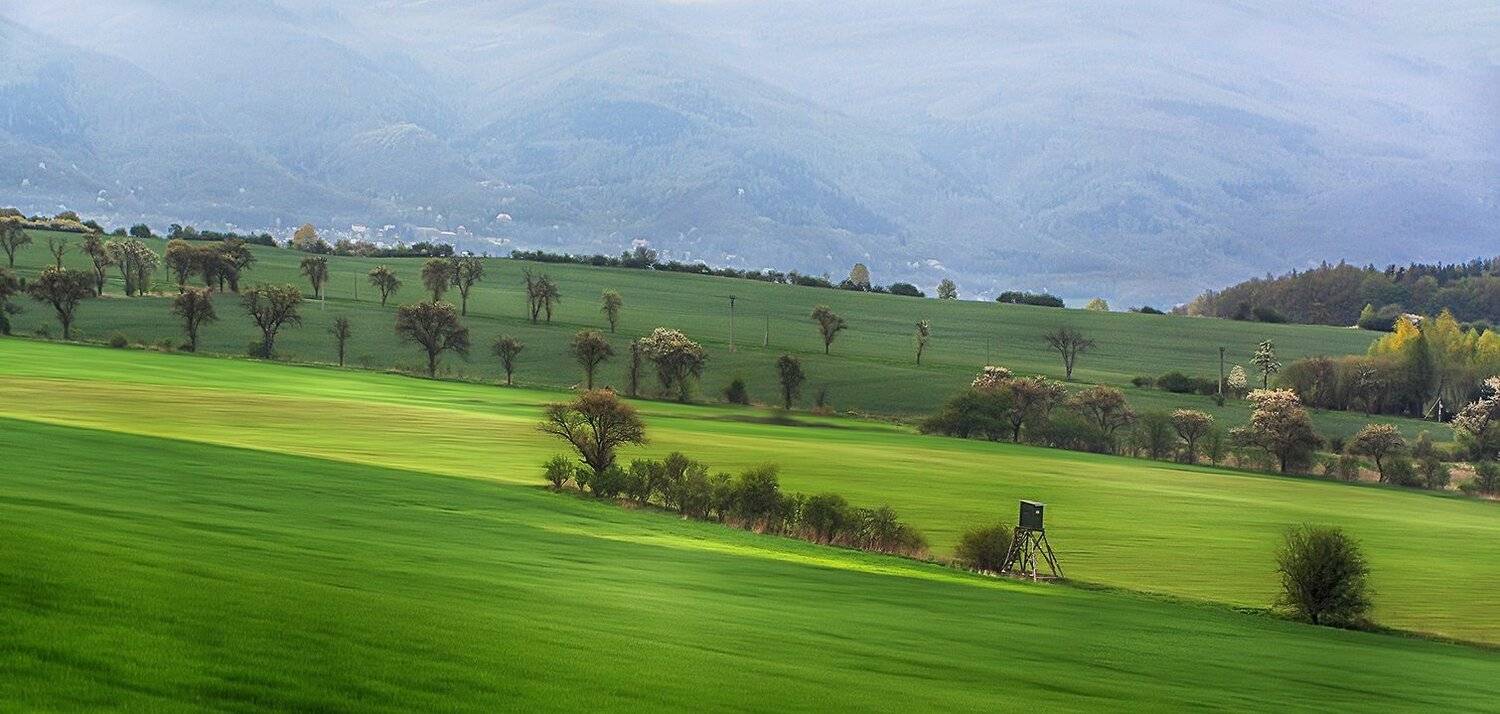 , Игорь Дубровский