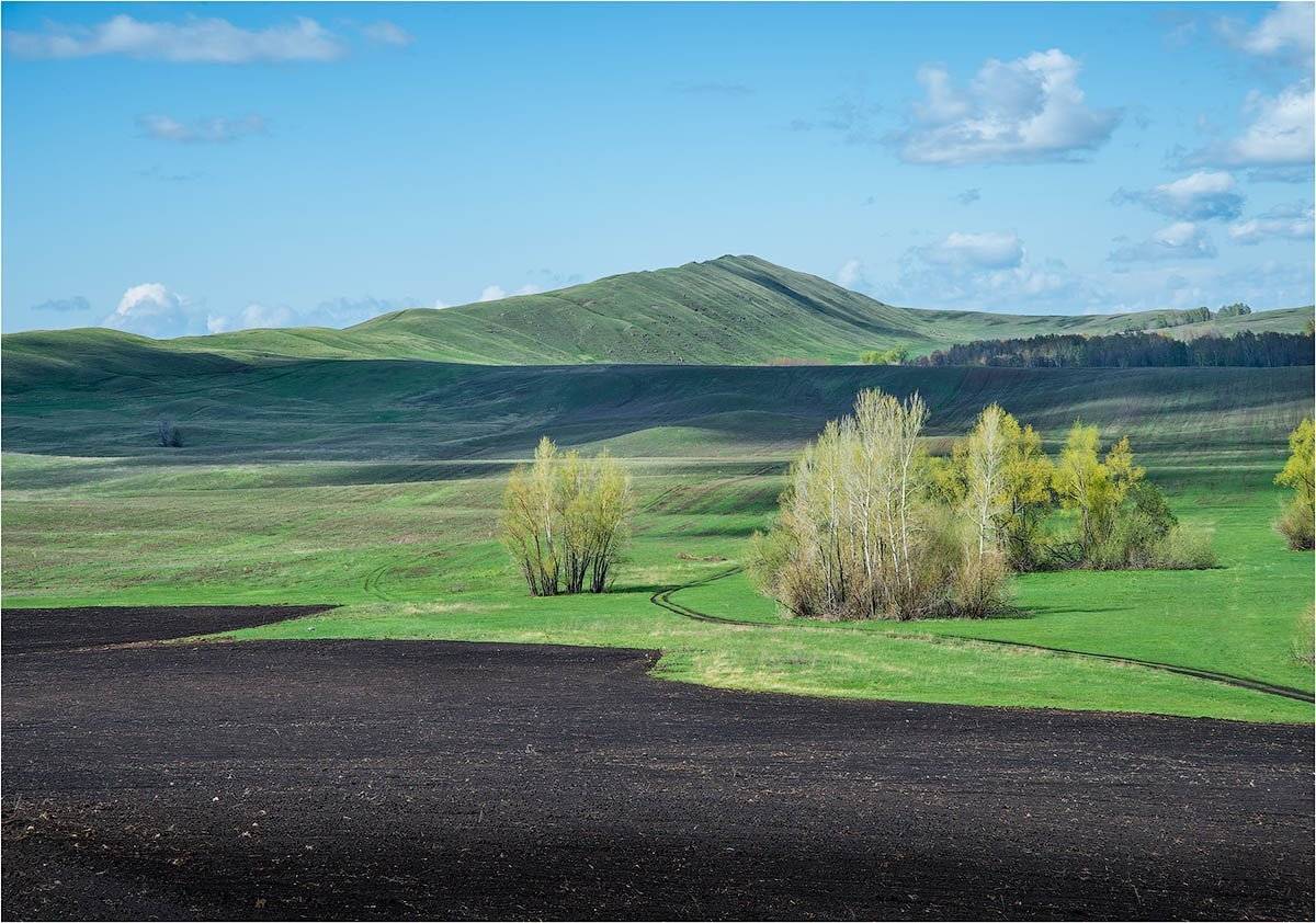 , Кутыгин Эдуард