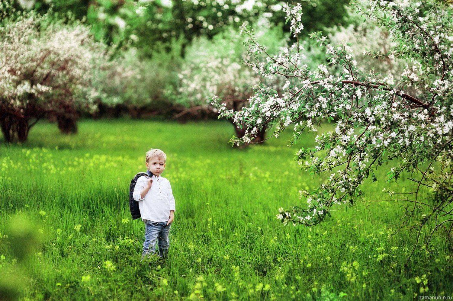 , Иван Заманухин