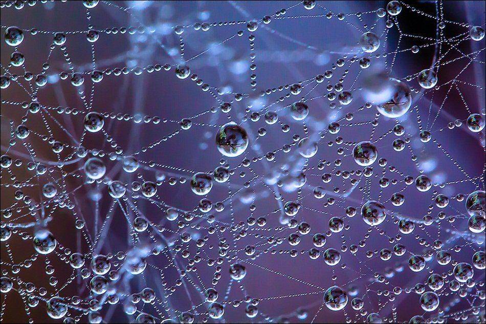 , Бурлов Андрей